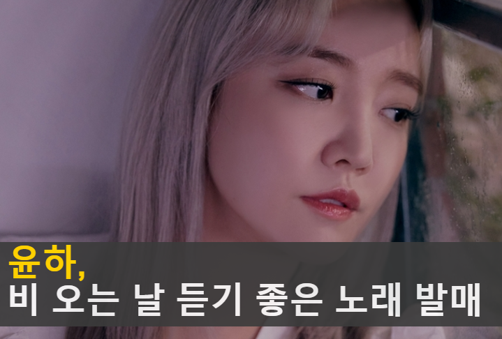 비듣좋노.png